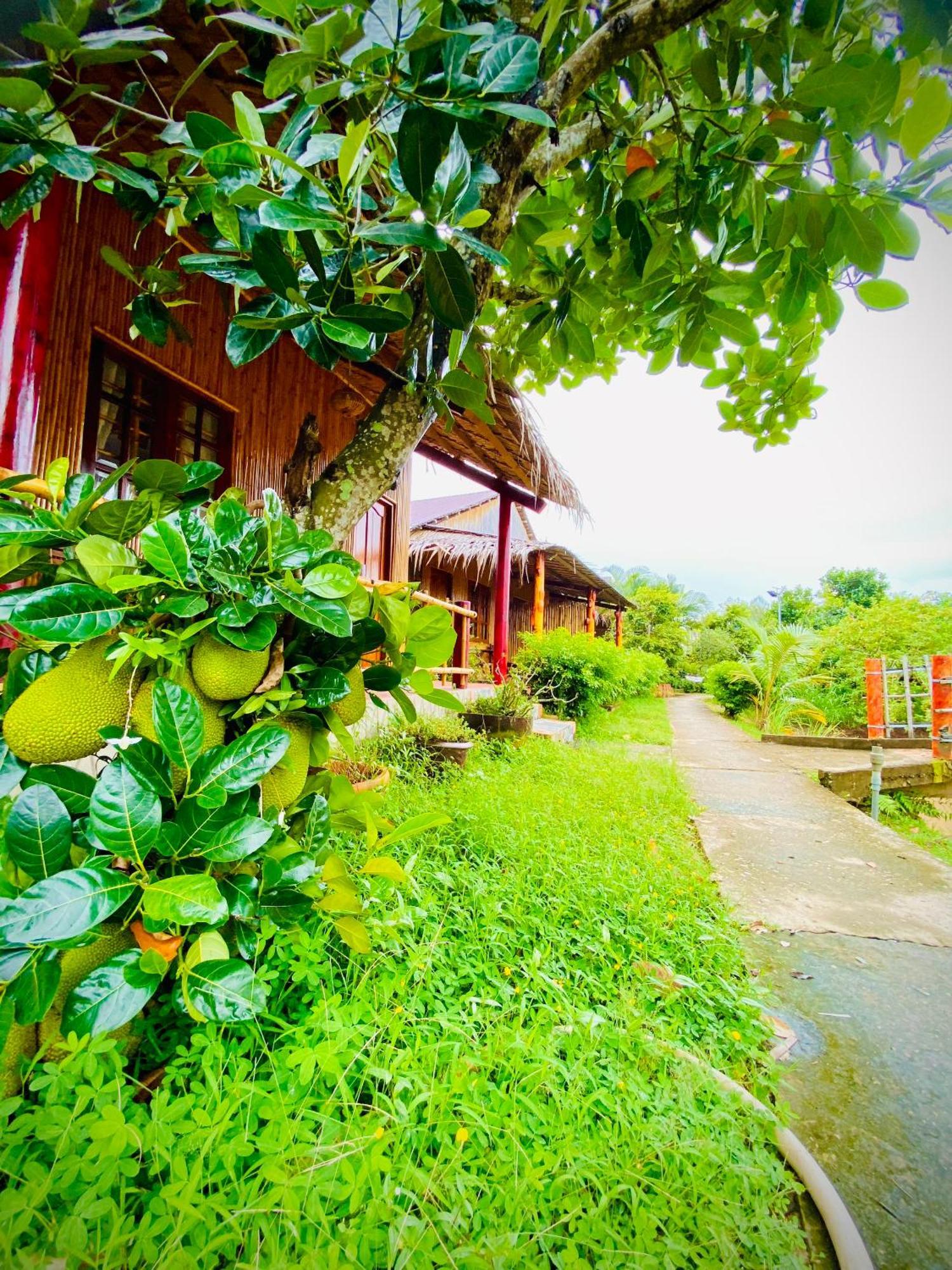 Mekong Riverside Homestay Віньлонґ Екстер'єр фото